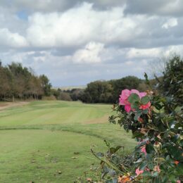 1st tee